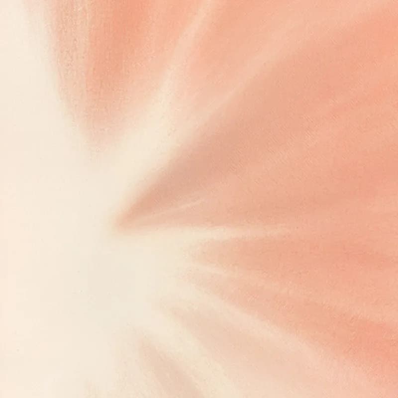 B2B website design & development