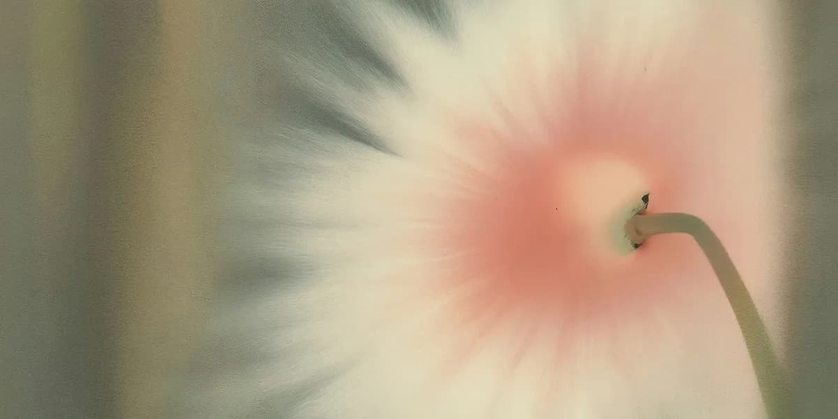 Testimonial Background